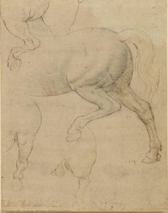 Studies Of A Horse — Leonardo Da Vinci, Renaissance