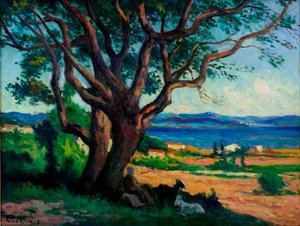 Vue du Golfe de Saint Tropez