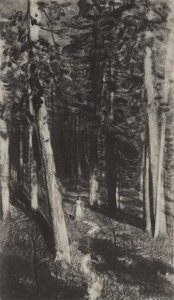 In The Forest — Isaak Ilyich Levitan