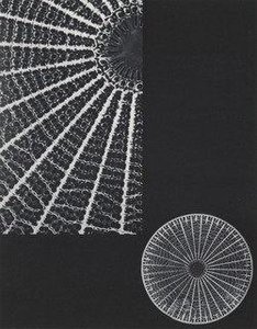 Diatomic Molecule — Laure Albin Guillot