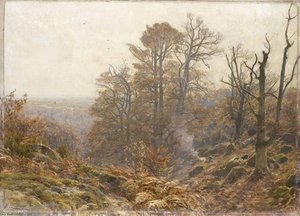 Ravin En Foret De Fontainebleau — Henri Zuber
