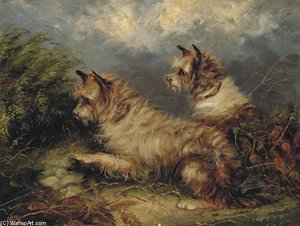 Terriers At A Rabbit Hole — George Armfield (smith)