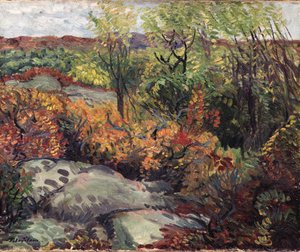 Autumn Rocks And Leaves — John French Sloan