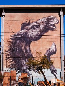 Horse