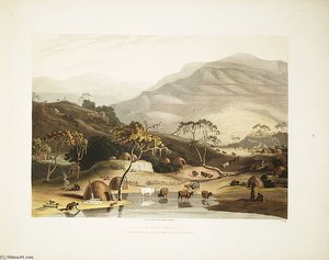 A Kaffer Village — Samuel Daniell