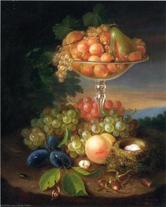 Still Life With Fruit, Nest Of Eggs And Insects — George Forster