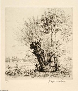 Le Vieux Saule — Herman Armour Webster