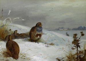 Hard Times — Archibald Thorburn