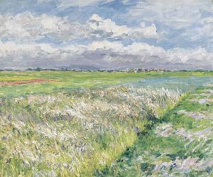Fields, Plain Of Gennevilliers — Gustave Caillebotte