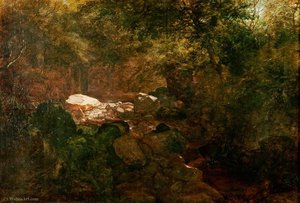 Sunshine And Shade — John Middleton