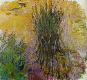 Agua Lilies (58) — Claude Monet