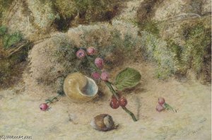 Still Life Of A Shell And Berries On A Mossy Bank — William Henry Hunt