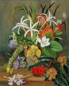 Group Of Cultivated Flowers — Marianne North