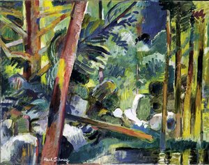 Light in the Forest