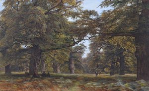 Beech Forest, England 1877 — Edmund George Warren