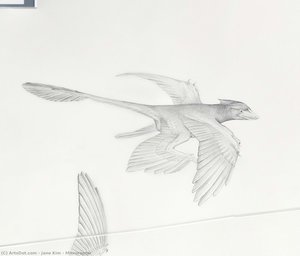 Microraptor — Jane Kim