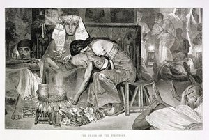 The Death Of The Firstborn — Carl (friedrich Heinrich) Werner