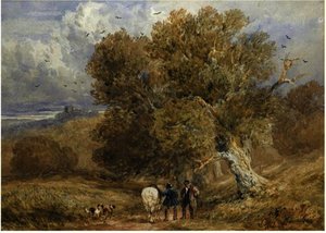 Olsover Park, Derbyshire — David Cox