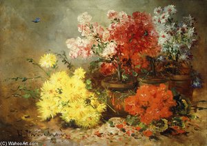 Daisies, Begonia, And Other Flowers In Pots