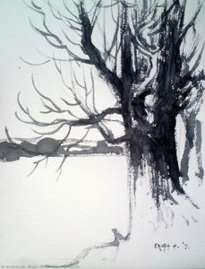 The Portrait Of One Poplar — Alfred Freddy Krupa