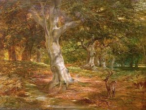 Forest Scene with Deer
