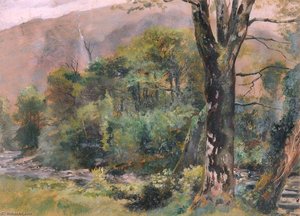 The Colwyn