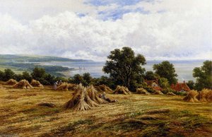 H harvesting by the sea
