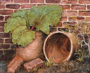 Bricks, Pots and Rhubarb