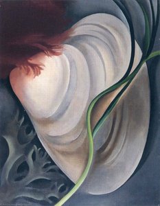 Shell No 2 — Georgia O'keeffe