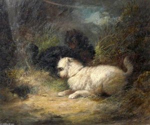 Terriers Ratting — George Armfield (smith)