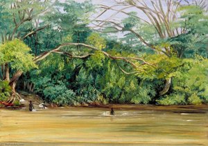 View Of The Sandy River At Spanish Town, Jamaica — Marianne North, Botanical Illustration