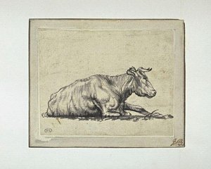 Study, Downer And Profile View — Aelbert Jacobsz Cuyp