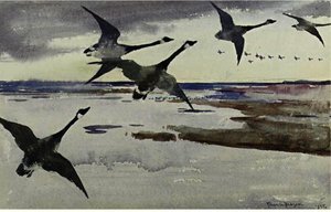 Canadian Geese — Frank Weston Benson