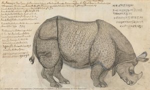 A Rhinoceros In The Peshwa — Gangaram Chintaman Tambat