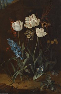 Still life with tulips and hyacinth