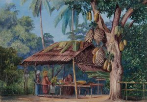 Jackfruchtbaum-laden, Malang, Java — Marianne North