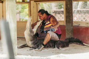 Miccosukee Man Wrestling An Alligator — Angelo Chiacchio