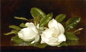 Magnolias On A Wooden Table — Martin Johnson Heade