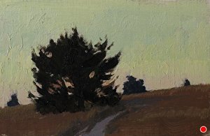 Central Coast Pines — Jeremy Lipking