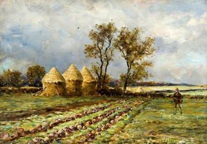 A Turnip Field — Hector Chalmers
