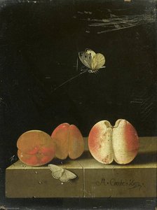 English Still Life With Peach And Two Apricots — After Adriaen Coorte