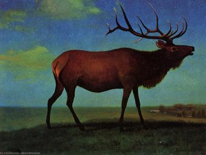 Elk — Albert Bierstadt, Romanticism