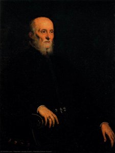 Portrait Of Alvise Cornaro — Jacopo Tintoretto