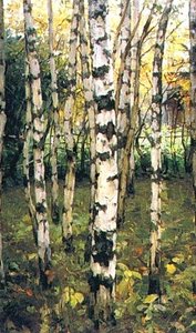 Birches. Petrovskoye — Konstantin Yuon