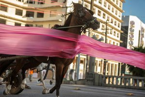 From The Series — Jonathas De Andrade