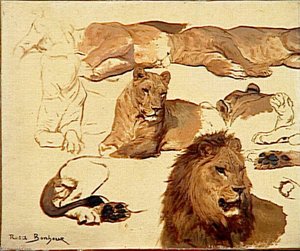 Etude De Lion Et Lionne — Bonheur Marie Rosalie