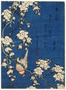 Weeping Cherry And Bullfinch — Katsushika Hokusai