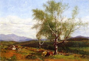 Cows Grazing In A Valley