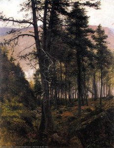Fir Trees In The Glen — Džozef Farkuarson