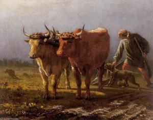 Anthony plowing